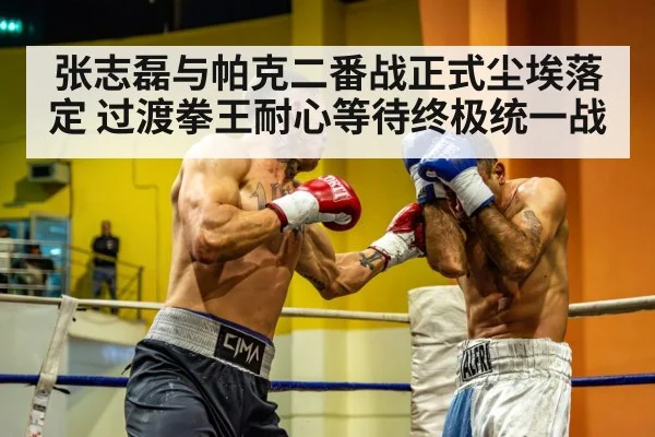 张志磊与帕克二番战正式尘埃落定 过渡拳王耐心等待终极统一战